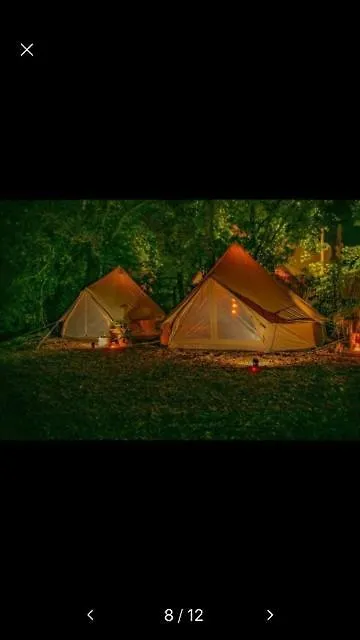 Into The Green Glamping- Maple Markt Nordheim